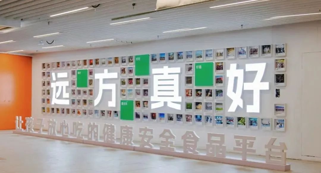 央视网点赞“严选”模式！供应商竟排队求合作？远方好物凭啥这么有吸引力？ - 第1张