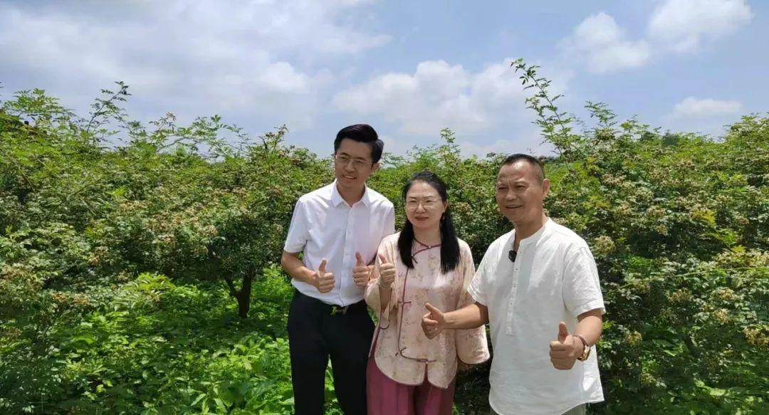 微信图片_2025-08-15_094034_484.jpg