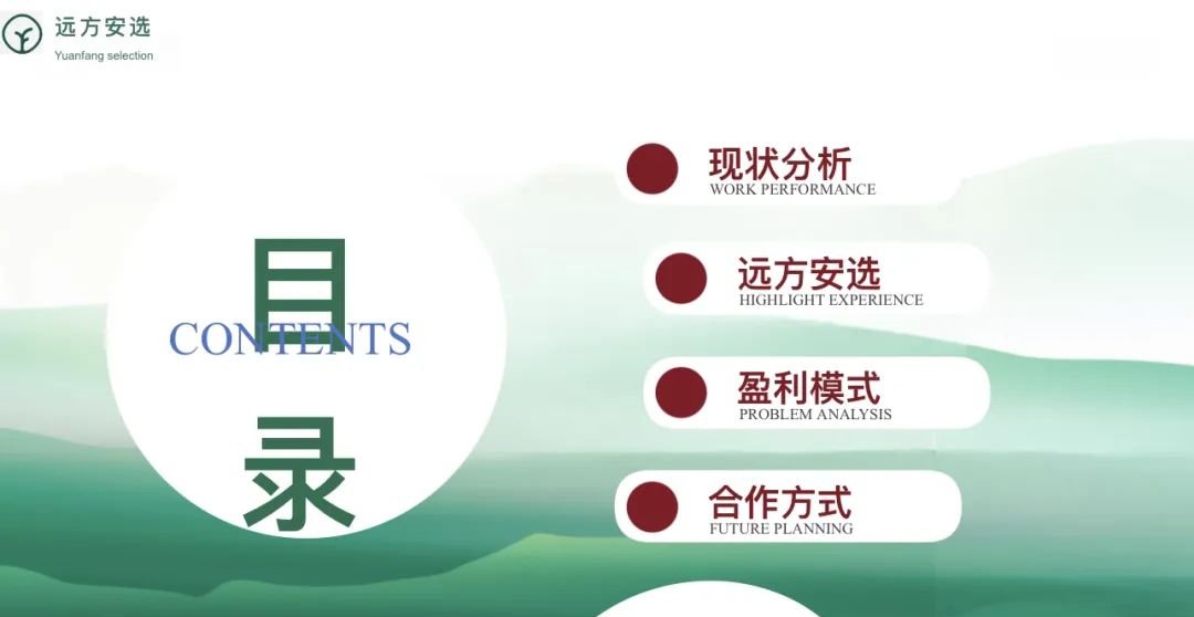 《远方好物：远方安选店项目详细说明》 - 第1张