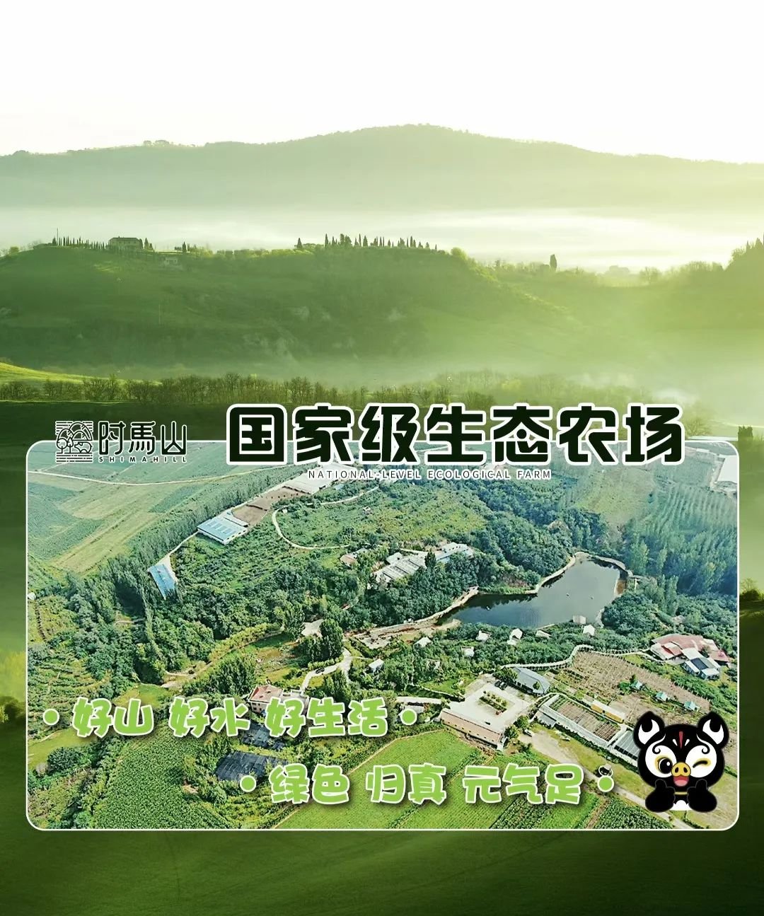 8月8日时马山黑猪肉远方安选社区直营店开业 - 第1张 8月8日时马山黑猪肉远方安选社区直营店开业 - 第1张